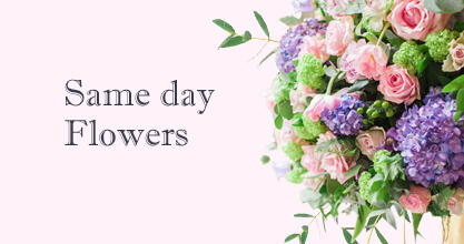 Tufnell Park Same day Flowers