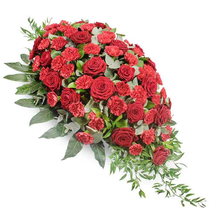 A richly detailed funeral flower spray is captured against a clean white background, its classic teardrop form gently sweeping from the upper left down to a fine, tapering point at the lower right. The design feels both substantial and graceful, like a carefully composed farewell laid along the top of a casket or at the front of a chapel in Tufnell Park. Deep, velvety red roses dominate the eye, nestled closely together so that their layered petals create a luxurious field of crimson. Some blooms are fully open, displaying their spiralled hearts, while others are slightly cupped, adding depth and a sense of quiet unfolding. Interwoven between them are clusters of red carnations and spray carnations, their fringed petals offering a slightly lighter, brighter shade of red. This subtle variation gives the arrangement a living, breathing quality, evoking shared stories, tears, and gentle smiles. Underpinning the blooms is a generous spread of greenery. Broad, dark green leaves form a solid, reassuring base, cradling the flowers and framing the spray's elongated silhouette. Soft, rounded eucalyptus leaves slip between the red blossoms, their silvery-green tone introducing a calm, almost misty contrast. At the narrowed lower end, finer sprigs of trailing foliage arc outward in light green strokes, accentuating the cascading shape and creating a sense of quiet motion. The lighting is soft and balanced, revealing the velvety textures and subtle colour shifts without drama, echoing the stillness of a thoughtful moment of remembrance. This design is an eloquent funeral tribute, expressing deep love, respect, and sympathy in a timeless, traditional style.