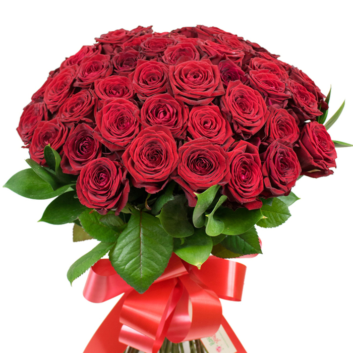 In this generously crafted bouquet, upwards of fifty perfect red roses are densely packed to create a striking symbol of love and admiration, meticulously assembled by local Tufnell Park florists. Every flower boasts velvety, deep crimson petals tightly encircling fragrant centers, transitioning from softly furled buds to lavishly opened blooms in a harmonious play of textures. The flowers nestle within a halo of vibrant, dark green leaves, their glossy surfaces reflecting soft, natural light in a way reminiscent of the peaceful shaded lanes throughout Tufnell Park. Bound together at the stems, the arrangement is finished with a wide red satin ribbon tied into a grand, multi-looped bow-its trailing streamers suggestive of festive local celebrations or a romantic stroll through the heart of N19. The bouquet's rounded profile and generous scale create a sense of abundance and drama, perfect for profound declarations: an anniversary, a heartfelt apology, or simply a reminder of love's enduring beauty. As if anticipating its place in a Tufnell Park home, the bouquet radiates warmth and hope, evoking both the timeless tradition of gifting roses and the contemporary artistry found in local North London flower studios. Every detail, from the tightly spiraled petals to the luxuriant finish, testifies to a florist's care and the special nature of the occasion.