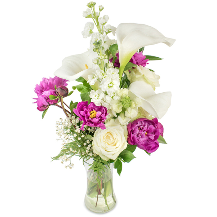 A tall, balanced bouquet that walks the line between modern minimalism and lush garden abundance: long-stemmed white calla lilies create a vertical spine, their sleek trumpets reflecting gentle light and guiding the eye upward. Encircling them are vivid magenta peonies-sumptuous, velvety blossoms whose many ruffled layers provide a dramatic, tactile contrast to the callas' clean lines. Two peonies are fully open and richly textured in the lower half of the arrangement, while a smaller bud on a visible stem promises the slow unveiling of more colour. Anchoring the piece is a single creamy white rose, its compact spiral of petals lending quiet elegance and emotional weight. Intermittent sprigs of white stocking or larkspur introduce a tall, airy column of clustered florets, while delicate sprays of baby's breath (Gypsophila) are threaded throughout to give the bouquet an ethereal, cloud-like softness. Lush green foliage-a mix of narrow, fern-like fronds and broader glossy leaves-wraps the blooms and sharpens the contrast between white and magenta, making each tone read more vivid. The clear glass vase is gently curved and filled with water, visually exposing the intersecting stems and the structural choreography beneath the surface. Bathed in soft morning light, this arrangement feels celebratory yet composed, ideal as a refined centerpiece for a milestone celebration, a meaningful anniversary, or as a calming, thoughtful gift for someone in nearby Dartmouth Park or Archway. The scent is layered and understated-cool calla, the heady sweetness of peony, and a fresh green undernote-revealing the hand of an experienced florist who composes with both eye and scent in equal measure.