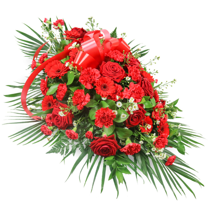 Displayed against a stark white background, this grand red floral spray appears almost to float, its elongated form carefully structured for use as a casket spray or main funeral tribute. At the centre, a lavish gathering of red roses takes pride of place, each bloom different from the next: some buds are just beginning to open, their petals tightly wrapped and full of promise, while others are fully unfurled, revealing the familiar spiral heart that gives roses their timeless beauty. Interlaced among them are deeply coloured red carnations, with layers of finely ruffled petals that bring a soft, cloud-like texture, and bold red gerbera daisies whose flat, open faces and darker centres introduce a crisp, contemporary contrast. Sprinkled through the red blooms are delicate stems of tiny white flowers, similar to baby's breath or miniature chrysanthemums, catching the light and adding a sense of air and space inside the dense heart of the spray. A prominent red satin ribbon, shiny and smooth, is tied into a generous bow at the upper section of the design, with long streamers that wind gracefully through the flowers, echoing the curve of the overall teardrop shape. Surrounding the flowers, elegant palm fronds, ferny fronds, and darker broad leaves fan out and overlap, creating a structured green frame that gives depth and movement. The result is a rich, dignified composition in crimson and green, perfectly suited to honour a loved one at a funeral service around Tufnell Park, Gospel Oak, or nearby cemeteries, and evocative of the thoughtful, respectful tributes that local florists prepare for families at moments of farewell.
