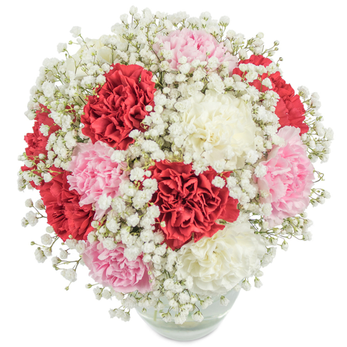 This vivid, elegantly full floral arrangement-meticulously prepared by experienced Tufnell Park florists-displays a captivating mix of ruffled carnations and snowy baby's breath, all illuminated against a crisp white background. Deep velvety red blooms intertwine seamlessly with pastel blush pinks and serene creamy whites, each carnation's intricate layers fanned out to evoke both abundance and classic beauty. Between them, countless miniature white blossoms of gypsophila are artfully dispersed, adding a gentle, misty quality that softens the bouquet's vibrant colours, much like dawn light shimmering over Waterlow Park. The densely packed flowers form a rounded, cohesive display, their stems gracefully gathered and visible through a clear glass vase that hints at the purity of their source. The overhead angle of the photograph brings every nuance of this florist's creation into focus, from the fine baby's breath flourishes to the fresh, dewy texture of the carnations. Perfect for conveying love, admiration, and appreciation, this arrangement embodies Tufnell Park spirit-ideal for anniversaries, displays, or thoughtful gifts for family and friends throughout the area. Its confidence, beauty, and meaningful symbolism come alive-the kind of bouquet that marks milestone moments from Archway to Kentish Town.