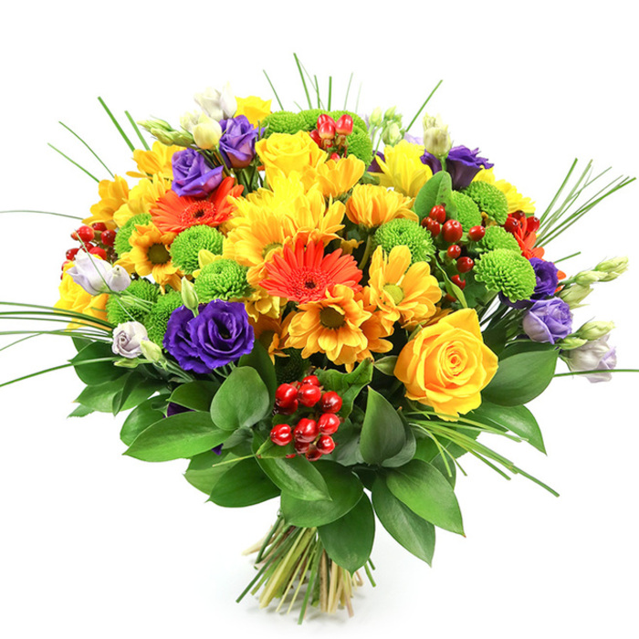 A vibrant, generously rounded bouquet sits against a pristine white background, its dense architecture composed for maximum colour impact and tactile interest. Dominant yellows-classic roses with tight, spiralled centres and abundant multi-petalled chrysanthemums-create an immediate impression of warmth and optimism, mingling with smaller yellow daisy-style flowers that lend an airy, sunlit quality. Bold orange gerberas, unmistakable with their radiating petals and darker centres, are placed to catch the eye, while subtler orange daisy forms support their rhythm. The palette is tempered by elegant dark-purple lisianthus, whose ruffled, rose-like layers introduce sophistication, and by paler lavender and white lisianthus buds that suggest gentle unfolding. Bursts of lime-green button chrysanthemums (Santini) provide a playful counterpoint in both tone and round texture, and glossy red Hypericum berries appear as small, festive jewels throughout the mass of blooms. Vertical accents of ornamental grass give the bouquet a sense of breath and motion, and a deep bed of glossy, broad green foliage-probably Ruscus-frames the flowers and conceals the tied stems at the base. The overall feeling is celebratory yet refined, with imagined subtle aromas of rose, freesia-like freshness, and green leaf; the piece is equally suited to spring and summer occasions, from anniversaries and birthdays to brightening a Chelsea or Dartmouth Park home. Locally sourced where possible and prepared with care, this arrangement reflects the neighbourhood's appetite for colour and seasonal abundance in a handcrafted, gift-ready format.