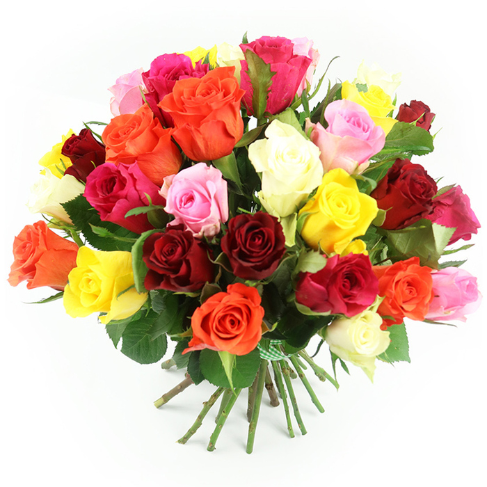 A lush, dome-shaped bouquet of approximately thirty to forty multi-coloured roses is shown resting on a smooth white surface, the clean background throwing every blossom into sharp relief. The roses are massed closely together in a hand-tied style, creating the impression of abundance and generosity, like a bouquet you might receive after a special evening in Tufnell Park. Deep crimson and burgundy roses are sprinkled throughout, giving the arrangement a rich, romantic heart. They are interlaced with bright yellow roses that seem to catch imaginary sunlight, along with glowing orange blooms that add warmth and vibrancy. Clusters of pastel pink and strong fuchsia roses thread through the composition, their soft, layered petals folded like delicate fabric. Creamy white and ivory roses introduce a gentle calm, ensuring that no single colour overwhelms the others. Some flowers are fully open, revealing intricate spirals of petals, while others are just beginning to open, their centres still softly hidden. Around the edges, dark green foliage peeks out, suggesting healthy, freshly cut stems, much like the roses that arrive early each morning to local Tufnell Park florists. The stems extend below the flower heads in a tidy bundle, cinched with a green and white gingham ribbon that hints at country charm despite the contemporary setting. The lighting is bright yet soft, enhancing the natural colours without harsh glare, and creating subtle shadows that give the bouquet three-dimensional depth. The overall feeling is one of heartfelt celebration and warmth, perfect for local delivery to homes and cafés near Tufnell Park and the surrounding neighbourhoods.