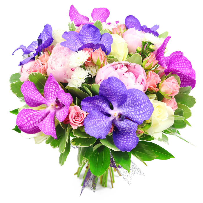 This lavish floral bouquet is captured against a bright white background, the neutral setting allowing every colour and texture to stand out as if displayed in a boutique florist just off Tufnell Park Road. Dominating the arrangement are several large pink peonies, fully open and luxuriously ruffled, their layers of silky petals forming generous, cushion-like blooms that evoke romance and indulgence. Threaded between these are dramatic Vanda orchids, some in a saturated indigo-purple and others in hot fuchsia, each petal marked with delicate, speckled veining that looks almost like fine lace laid over the surface. Around them, clusters of smaller flowers provide contrast and intricacy: light pink spray roses, peachy-pink buds, and creamy white roses appear at different stages of opening, from tight, round buds to gently unfurling spirals, adding a sense of movement and unfolding beauty. Tiny, starry white filler flowers-likely spray chrysanthemums or asters-are scattered throughout, subtly brightening shadowed spaces and enhancing the bouquet's fullness. All of this richness is framed by abundant greenery, with glossy dark green leaves and lighter, varied foliage creating depth and a natural, garden-like feel, as though freshly gathered from a well-tended plot near Tufnell Park's quiet residential streets. The stems are neatly aligned and bound with a purple ribbon at the base, suggesting a hand-tied design ready for delivery, perhaps to a celebration near Hampstead Heath or a dinner party close to Gospel Oak. Under the clear, even light, the interplay of fuchsia, deep purple, blush pink, peach, white, and vibrant green conveys a sense of joyful sophistication and special-occasion elegance.