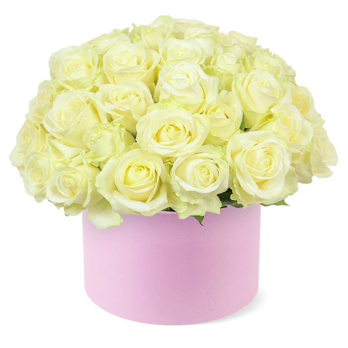 In this image, a sophisticated hat box arrangement takes centre stage, the kind of refined floral design you might see gracing a Tufnell Park bay window on a special anniversary morning. The roses are the undisputed stars: dozens of them, arranged closely together to create a sumptuous dome that seems to gently overflow the edge of the container. Their colours range from pure cream to pale ivory, with delicate hints of pastel yellow at the hearts of some blooms, giving the entire cluster a soft, sunlit glow. Each rose is either fully opened or elegantly half-unfurled, showcasing spirals of velvety petals that overlap in tight, romantic whorls. A minimal touch of greenery peeks out from beneath the rose heads, kept intentionally low so that the sea of light petals remains the primary focus while the foliage quietly reinforces the sense of freshness. The blooms rise from a round, hat box-style base in a tender pastel pink, its matte finish suggesting the smooth feel of luxury card or a fine, soft-touch coating. The gentle blush of the box forms a graceful contrast with the creamy florals, adding a contemporary twist to a classic rose arrangement. Everything is photographed against a clean white backdrop, allowing the subtle tonal differences in the petals and the shape of the dome to be clearly appreciated without distraction. The overall impression is of elegance, calm, and lovingly considered detail-an ideal floral gift for anniversaries, proposals, or thoughtful surprises delivered across Tufnell Park and nearby streets leading toward Kentish Town. As a design, it speaks of enduring affection and refined taste, the kind of arrangement chosen when words feel too small for the occasion.