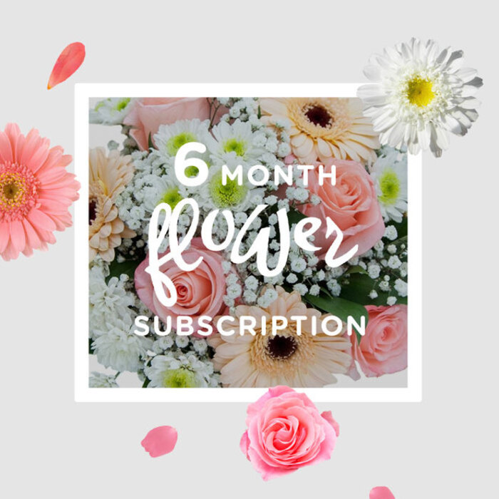 This bouquet presents a serene blend of blush pink roses, peach-tinted gerberas, white gypsophila, and neat white chrysanthemums, captured as though resting in soft, indirect daylight that flatters every petal. The roses, in gentle pastel pinks, form the emotional focus of the arrangement, their layered petals curving inward with a velvety richness that suggests both elegance and warmth. Nestled around them, the gerberas spread out in generous, rounded blooms, their petals long and satiny, moving from creamy peach tones at the base to slightly deeper hues at the tips, like a quiet sunrise. Threads of gypsophila run through the bouquet, tiny white blossoms at the ends of slender stems, creating a misty, romantic veil that lightens and softens the stronger shapes of the primary flowers. Punctuating the design, compact white chrysanthemums add a crisp, structured element; their densely packed petals create small domes of texture that sit neatly between the more open blooms. The stems, visible at the base, are clean and fresh, suggesting the flowers have been recently conditioned by a Tufnell Park florist accustomed to preparing arrangements for homes off Campdale Road or cosy flats near the park itself. The colour story is firmly pastel-soft pink, warm peach, and pure white-evoking calm mornings, gentle conversations over coffee, and the quiet joy of receiving flowers for no particular reason. This bouquet feels perfectly suited to any occasion, whether marking a birthday, sending quiet encouragement, or forming part of a six-month flower subscription that arrives regularly to brighten a hallway or living room in Tufnell Park with the scent and sight of freshly cut blooms.