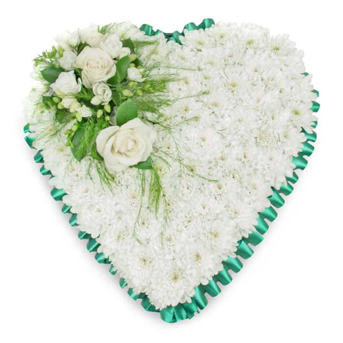 A beautifully crafted heart-shaped sympathy tribute fills the frame, its shape impeccably defined and resting on a stark white background that heightens every detail of the flowers and ribbon. The main body of the heart is composed of tightly massed white chrysanthemums, each bloom small yet full, forming a continuous, textured surface that feels almost like a soft quilt of petals. Their unwavering whiteness suggests innocence, peace, and a dignified farewell, making this design especially fitting for funeral services and memorials in and around Tufnell Park. Skirting the entire perimeter of the heart is a vivid emerald green satin ribbon, carefully pleated to create a gently scalloped edge. The satin catches the light, producing subtle highlights and shadows that contrast with the matte softness of the chrysanthemums, adding refinement and structure to the tribute. In the upper left section of the heart, an artfully placed cluster becomes the focal feature. Two large white roses have opened to their full splendour, showcasing layered, creamy petals that curl softly at the edges. Around them, smaller white blossoms-resembling freesias or other delicate flowers-add variety in size and form, their slender petals and buds lending a sense of depth. A selection of lush green foliage frames this cluster: broad, glossy leaves provide a solid backdrop, while wispy, fern-like fronds extend outward and trail lightly across the chrysanthemum base, mimicking the natural movement of leaves in a breeze over local parks. The lighting is clear and even, with no strong shadows, giving the arrangement a calm, contemplative mood. This floral heart is the kind of loving tribute families might choose for a chapel service, church farewell, or graveside ceremony, offering a gentle expression of remembrance and enduring affection.