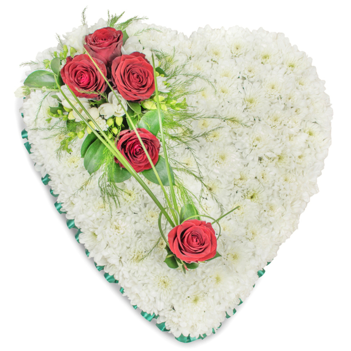 A striking heart-shaped sympathy arrangement dominates the image, set against a stark white backdrop that allows every detail of the floristry to stand out. The heart is completely massed with tight, small-headed white chrysanthemums, each flower head carefully placed to form an even, sumptuous layer of petals. The effect is that of a soft, pure white cushion, its surface subtly varied in texture as the many tiny florets catch the light, suggesting calm, purity, and gentle consolation. At the upper left side of the heart, where the curve begins to dip, sits an asymmetric spray of three luxurious red roses. Their petals are deeply coloured and velvety, spiralling toward the centre in perfect, classic rose shapes. These roses are cradled amongst clusters of small white filler blooms, possibly freesias, and surrounded by a mix of lush green foliage: broad, glossy rose leaves, finer leaves, and light, feathery greenery that spills and trails softly. Two additional red roses appear lower and to the right, arranged so they form a subtle diagonal path of colour across the white chrysanthemum base. Connecting these areas, slender strands of bright green ornamental grass sweep across the heart, drawing the viewer's eye in a gentle curve and adding an elegant sense of movement. Around the entire shape, a rich dark green satin ribbon has been neatly pleated and secured, giving the tribute a defined edge and a dignified, traditional finish. This carefully composed heart would be a meaningful choice for families in Tufnell Park, perhaps ordered to accompany a funeral cortege along Junction Road or to rest at a memorial service, expressing steadfast love, remembrance, and quiet support.