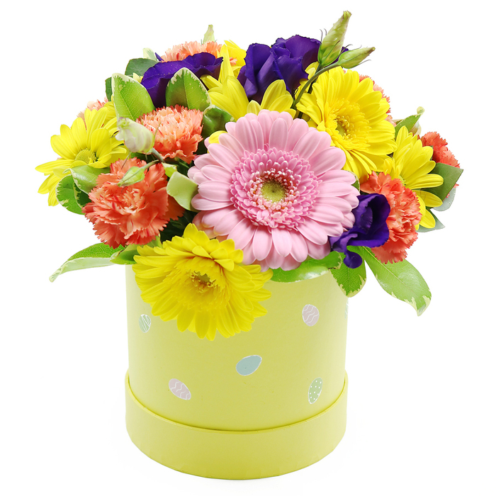 A joyful, densely packed Easter flower arrangement is displayed in a pastel hatbox, radiating the same upbeat energy you might feel walking through Tufnell Park on the first truly warm day of spring. The bouquet forms a soft, domed shape, each bloom placed closely together so that colour and texture flow seamlessly from one flower to the next. Dominating the front is a large, light pink Gerbera daisy, its smooth, symmetrical petals layered in a neat circle around a pale green centre, giving the arrangement a gentle focal point that feels open and welcoming. Around it, numerous bright yellow chrysanthemum-like daisies bring a burst of sunshine, their narrow petals fanning out in all directions, creating a lively contrast and a sense of joyful movement. Nestled among these are plush coral-orange carnations, their edges frilled and crimped, with petals packed tightly to form soft, full heads that add volume and warmth. Deeper tones come from rich violet-purple lisianthus blossoms, their velvety petals folded in graceful whorls that peek out from between the brighter flowers, adding sophistication and depth. The greens are thoughtfully chosen: glossy leaves and lightly variegated foliage in shades of mid to light green weave through the design, giving it structure and a fresh, garden-inspired feel reminiscent of flower beds in nearby Dartmouth Park. The entire bouquet sits in a cylindrical hatbox in a light pastel yellow-green tone, its smooth surface dotted with playful Easter egg illustrations in pastel blue, pink, and white, some adorned with small dots and stripes that subtly reference seasonal celebrations. Presented on a crisp white backdrop, the arrangement looks clean, modern, and festive, perfect as a springtime gift for Easter brunches or family gatherings across the Tufnell Park area, from residential terraces near Tufnell Park station to cosy homes tucked away on leafy side streets.