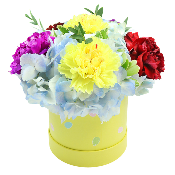 Seen against a crisp white background, this lush floral composition fills a round, pastel yellow flower box with an exuberant mix of texture and colour that feels both modern and tender. Two large yellow carnations anchor the centre, their layered, ruffled petals unfurling like small suns and throwing soft shadows across the neighboring blooms. Encircling these are clusters of powder-blue hydrangea whose tiny florets create a pillowy, almost cloud-like surface, each petal showing subtle gradations from periwinkle to pale sky-blue and flecks of white. Flanking the centre, a vivid magenta-purple carnation rises on one side, and a rich, velvety burgundy-red bloom balances it on the other; together they form a chequered rhythm of warm and cool. Slender stems of fresh green foliage weave through the bouquet, adding an earthy, leafy scent and a crisp visual pause between the saturated colours. The cylindrical box, a soft lemon-yellow, is decorated with irregular pastel polka dots and egg-like shapes in light blue, blush pink and mint green - small, whimsical details that suggest springtime celebrations like birthdays or baby showers in nearby Dartmouth Park or along Tufnell Park Road. The design is carefully proportioned: stems trimmed to create a smooth dome, hydrangea clusters positioned for maximum volume, and carnations selected for longevity and fullness. This arrangement reads as an intimate, premium gift-scented, tactile and joyful-ideal to brighten a hallway table or bedside in homes across Tufnell Park, and a small reminder of thoughtful local floristry craft.