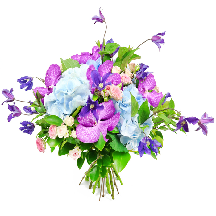 This image captures a luxurious mixed bouquet arranged by a skilled florist, shown against a minimalist white background that heightens its rich palette of blues, purples, and soft pinks. At the core sit generous clusters of sky-blue hydrangeas, their plush, cloud-like heads made up of countless miniature petals that create depth and a gentle, textile softness, reminiscent of summer skies over Tufnell Park Gardens. Interlaced throughout these hydrangeas are vivid fuchsia and deep purple orchids, likely Vanda or Phalaenopsis, each bloom displaying broad, slightly waxy petals decorated with fine, speckled patterns and veining. These orchids bring an exotic, statement-making quality to the composition, the sort of flourish often requested for milestone celebrations and elegant dinner parties across N19. Dotted delicately between the larger blooms are miniature roses in tender shades of blush and cream, their compact, spiralling petals adding a timeless romantic touch and suggesting a sweet, subtle fragrance. Reaching upward and flowing outward from the bouquet's rounded form are elongated stems of deep purple clematis, their starry or bell-shaped flowers poised on slender vines that introduce natural movement and a hint of garden wildness, as if freshly snipped from a trellis in a Tufnell Park back garden. A wealth of lush green foliage cradles and separates the blossoms, from broad, glossy leaves to finer, textured greens, providing structure and a verdant contrast that makes the colours glow more intensely. At the bottom, the stems are neatly gathered and tied, confirming a freshly hand-tied design ready for a vase. The mood is elegant yet inviting, ideal for gift-giving, weddings, or thoughtful home styling in and around Tufnell Park.