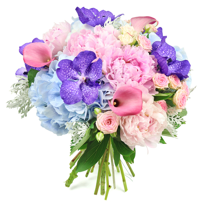 Captured against a clean, white background, this opulent floral bouquet showcases a carefully balanced blend of colour, texture, and form. At the centre, pale pink peonies open generously, their wide, layered petals folding over one another in a soft, ruffled mass that immediately draws the eye. Surrounding them, domes of powder blue hydrangea blooms form a cool, rounded cushion, each cluster of small petals contributing to a serene, cloud-like foundation. Punctuating this pastel softness are striking deep purple Vanda orchids, their broad petals patterned with subtle darker speckles, adding drama and a refined, exotic note. Graceful fuchsia pink calla lilies arc through the arrangement, their sculptural, trumpet-shaped blooms creating elegant lines and a contemporary twist. Interwoven among these statement flowers are delicate blush spray roses, offering smaller, intricate blooms that lend a sense of intimacy and timeless romance. The bouquet is edged with rich greenery, combining glossy dark leaves with the muted, velvety tones of silvery dusty miller, which softens the silhouette and introduces a gentle, tactile contrast. At the base, the natural stems are gathered and neatly tied, clearly revealing the hand-crafted nature of the design. The bouquet feels like it has just been finished on a florist's workbench near Tufnell Park station, ready to head out for delivery to a townhouse off Fortess Road or a celebration near Dartmouth Park. With its harmonious palette of cool blues, gentle pinks, and luxurious purples, the arrangement conveys a sense of polished sophistication, ideal for weddings, anniversaries, or marking significant life moments in and around Tufnell Park.