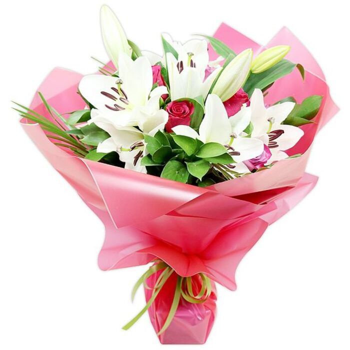 An artfully composed bouquet of pristine white lilies and deep red roses is set against a plain white background, allowing every nuance of the flowers and wrapping to be clearly seen, as though it is being carefully described by a local Tufnell Park florist. At the centre, large Oriental lilies open out in dramatic, star-shaped blooms, their broad white petals slightly recurved at the tips and delicately shaded with soft green near the base. Within each lily, tall filaments crowned with dark reddish-brown anthers extend confidently, offering a subtle contrast of colour and hinting at the flowers' heady fragrance. Among these open lilies, several elongated buds, tinged with yellow-green and still tightly closed, create a sense of freshness and continuity, showing that the bouquet will evolve over the days to come. Clustered around the lilies are multiple red roses in bud and early bloom, their deep crimson petals forming tight, spiralled centres that feel both romantic and timeless. Lush greenery, including broad, glossy leaves and slender, arching grass-like blades, surrounds and supports the main flowers, adding depth, movement, and a rich, garden-like feel that evokes the leafy calm of nearby Tufnell Park and the green spaces stretching towards Hampstead Heath. The stems are wrapped in voluminous, glossy bright pink cellophane or floral paper, the translucent material forming soft, undulating folds that catch the light and create an almost gift-like aura. At the base, a delicate lime green ribbon is tied neatly, the slim band of colour echoing the fresh foliage while standing out against the pink wrapping. Together, these elements combine into a bouquet that feels perfect for celebrating milestones, expressing love, or offering comfort with same-day delivery across Tufnell Park and surrounding N19 streets.