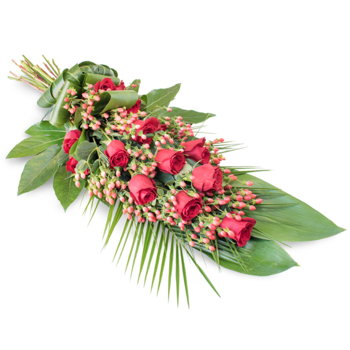 A classic red rose funeral spray is displayed on a stark white background, its elongated, diagonal composition creating a striking visual line that leads the eye from top left to bottom right, much like following the curve of a quiet Tufnell Park lane. The stems at the top left are neatly bound and concealed within a wide collar of carefully folded green leaf, forming a polished handle that signals professional, considered design. From this point, around two dozen rich, velvety red roses are woven through the heart of the tribute, many still in bud or just opening, their petals dense and soft, suggesting both tenderness and strength. Interlaced among the roses are dense clusters of small, coral-pink Hypericum berries, adding a lighter, more playful red that subtly breaks up the depth of the roses and brings an almost dewy texture to the arrangement. Beneath and around the blooms lies an abundance of dark green foliage: broad, glossy leaves, likely Ruscus or Salal, create a dense, structural base that holds the spray's overall teardrop outline. From the lower right, delicate palm fronds and finer, almost feathery greenery arc outward and downward, giving the piece a sense of movement and quiet grace. The simple white background ensures that every rose, berry, and leaf stands out clearly, much as a single heartfelt gesture stands out during times of grief. This dignified tribute would feel at home in any local chapel of rest or crematorium near Tufnell Park, expressing love, remembrance, and respect in a restrained yet deeply emotional way.