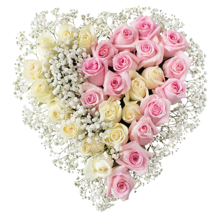 This image shows a meticulously crafted heart-shaped funeral tribute, composed entirely of roses and baby's breath and presented against a crisp white background that lets every detail breathe. The heart is strikingly symmetrical yet divided into two complementary halves, as if to symbolise two lives forever connected. On the left, a close, almost seamless carpet of creamy white and very pale yellow roses forms a luminous panel of softness; their petals are densely layered, with each bloom carefully opened to create a plush, velvety texture you can almost feel beneath your fingertips. On the right, an equally rich expanse of soft to medium pink roses mirrors the same fullness and shape, their colour adding a tender warmth and quiet hopefulness. Throughout the heart and particularly along the central dividing line and the outer edge, sprays of white gypsophila - baby's breath - scatter like tiny stars, filling any gaps and giving the arrangement a cloud-like, ethereal halo. There is a sense of calm and dignity to the design, reminiscent of floral tributes delivered by local Tufnell Park florists to services around Holloway Road or family homes tucked behind the bustle of Fortess Road. The lighting appears even and clean, with no shadows to distract from the gentle contrast of cream and pink. This heart would be especially suited to expressing deep affection and farewell at a funeral or memorial, a loving message from a spouse, children, or close relatives, offering solace and beauty when words are hard to find. Its careful craftsmanship and thoughtful balance reflect the artistry of sympathy floristry in the Tufnell Park community.