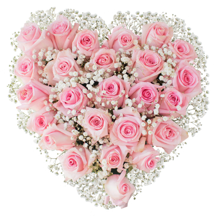 A meticulously arranged heart composed of dozens of pale pink roses and a soft halo of white baby's breath fills the frame against a stark white backdrop, creating a visual sigh of romance. Each rose displays subtle variations of pastel - from the palest shell-pink at the petal tips to slightly deeper rosy tones at the heart - and is captured at a variety of bloom stages: compact, glossy buds promise unfolding, while half-open flowers reveal layered concentric petals that catch the light like porcelain. The baby's breath (Gypsophila) is used with a light, experienced hand, its tiny, cloud-like clusters threaded through the roses to produce an airy texture that both defines and softens the heart silhouette. The lighting is clear and bright, stripping away extraneous shadow so the tactile qualities - the velvet of the petals, the delicate filaments of the gypsophila - are easy to imagine. As a piece, it balances elegance and sincerity, ideal for declarations of love, wedding décor, anniversaries, or as a comforting tribute. From a local florist's perspective, the arrangement reflects an understanding of occasion and place: it is the kind of composition we prepare for intimate celebrations across Tufnell Park, including deliveries to homes near Tufnell Park Road, the tube station, or quiet Georgian terraces off Fortess Road. Crafted with careful technique and an eye for emotional detail, this heart-shaped bouquet is offered by Flowers Tufnell Park as a timeless expression of tenderness for anyone wishing to mark a meaningful moment.