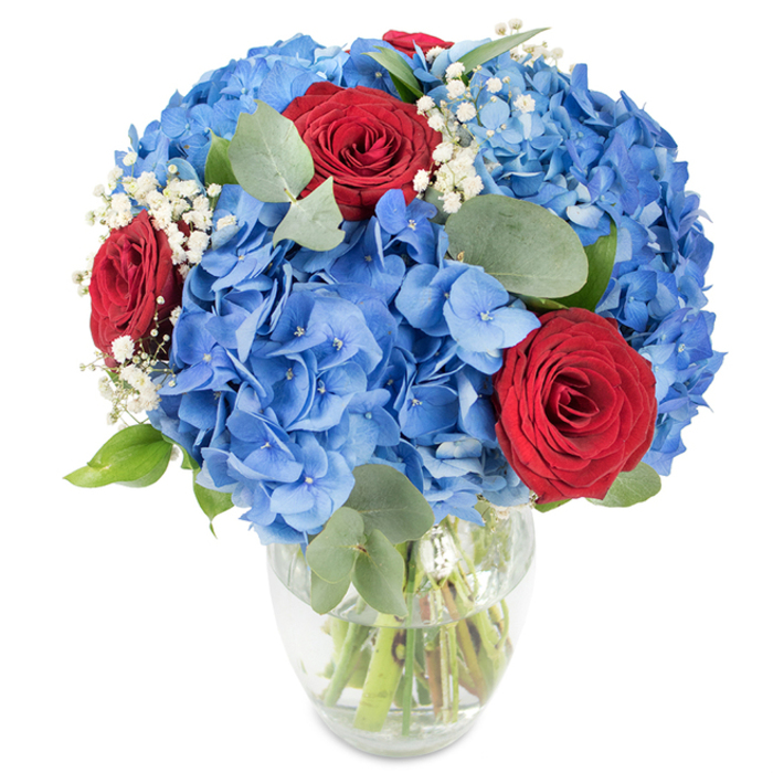 A carefully composed floral arrangement rests in a clear glass vase with a softly rounded base and a slightly tapered neck, showcased against a pure white background so every colour reads crisply. At the heart of the design are generous clusters of azure-blue hydrangeas whose overlapping petals create a plush, cloud-like volume that feels both abundant and cool to the eye. Contrasting these are three sumptuous red roses, their velvety, tightly furled petals introducing a dramatic focal point and a classic note of romance. Interspersed throughout are tiny white clusters of baby's breath that add a delicate, ethereal texture, while rounded eucalyptus leaves and verdant foliage provide a muted green counterpoint and a faint, herbal fragrance that lifts the composition. The stems are visible through the glass, neatly aligned and immersed in clear water, emphasising the bouquet's freshness and the florist's attention to construction. The bright studio-like light-reminiscent of the clear, cool mornings around Tufnell Park station and Fortess Road-brings out the saturated blues and deep crimsons, making the colours sing without losing the gentle tonal balance. This arrangement, prepared with local sensibility, suits a wide array of occasions: a patriotic table display for a summer get-together, a romantic anniversary gesture, or an elegant centrepiece for a birthday gathering in a home near Dartmouth Park. Created by Flowers Tufnell Park, it speaks to neighbourhood tastes for clean, bold colour and thoughtful texture, arriving as a composed statement of celebration and warmth.