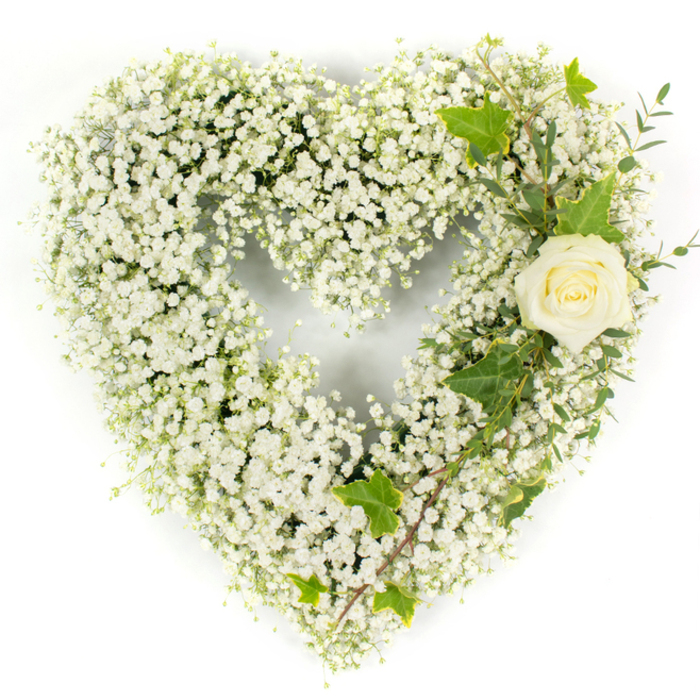 A meticulously arranged heart formed from an abundant carpet of white baby's breath (Gypsophila) sits against a stark white background, its compact blossoms creating a voluminous, soft-edged form that feels simultaneously airy and substantial. At the upper right curve, an elegant cream-white rose is placed as the arrangement's focal point; its petals are pristine and tightly layered, revealing a gentle central tone that deepens the composition with subtle warmth. Interlaced with the rose and tracing a gentle diagonal down the heart are several glossy ivy leaves-deep green and lobed-which provide classic contrast and a sense of structure, while pale green, narrow-leafed sprigs similar to eucalyptus lend a refined texture and a hint of aromatic freshness. The bright, even illumination in the photograph brings out the fine details of the gypsophila clusters and the sheen on the foliage, enhancing the arrangement's overall purity and calming presence. Intended as a funeral or memorial tribute, this heart communicates purity, remembrance, and peaceful reverence, appropriate for laying at a service in a local Tufnell Park chapel or placing beside a keepsake in a family home near Crouch Hill. As a local florist familiar with north London customs, I see this composition used to express heartfelt condolences-its white palette and considered greenery provide a timeless expression of sympathy and enduring love. The juxtaposition of soft, cloudlike filler flowers with the smooth, formal rose and assertive ivy lines makes the tribute both tender and dignified, an understated yet powerful symbol of farewell.