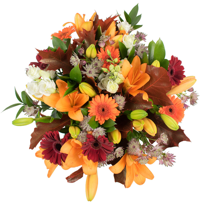 A lush, professionally arranged autumn bouquet seen from an elevated angle, where texture, colour and botanical variety are presented with careful craftsmanship. Dominating the picture are several large, fully opened orange Asiatic lilies-broad, trumpet-shaped petals unfurling in glowing shades of pumpkin and apricot-interspersed with numerous pale orange and green lily buds that add depth and the promise of more blossom. Vivid orange Gerbera daisies and deep burgundy gerberas punctuate the design with cheerful, bold discs, their centres providing subtle contrast. Creamy white lisianthus (or mini roses) with layered, ruffled petals introduce moments of softness, while fine, star-like Astrantia in muted purple and lavender create light, airy texture across the surface. The composition is given an unmistakable autumnal character by large, lobed leaves in rich reddish-brown and chestnut-placed as if gently fallen from a nearby tree-complemented by lively green foliage and slender stems that provide structure and freshness. The bouquet is brightly illuminated against a pure white background so every vein, petal edge and leaf silhouette reads clearly. As a local florist working around Tufnell Park, Dartmouth Park and Archway, I imagine this arrangement as a seasonal focal point for a Thanksgiving table, an autumn wedding reception, or a comforting gift for someone who loves the turning of the year. Flowers Tufnell Park prepares arrangements like this with attention to texture, scent and longevity, available for prompt local delivery across Tufnell Park and surrounding streets.