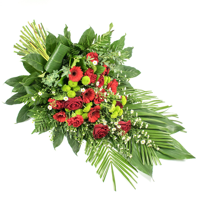 A sophisticated funeral spray, long and tapering like a teardrop, is displayed against a plain white background so that every petal, leaf, and contour is clearly visible. The arrangement is anchored by deep red blooms: classic velvety roses, bold gerbera daisies with dark, defined centres, and full, ruffled carnations that create a sense of abundance and warmth. These rich reds are thoughtfully spaced to guide the gaze along the length of the spray, evoking a sense of journey and remembrance. Punctuating the darker tones, bright lime green button chrysanthemums appear in clustered pockets, their small, spherical heads lending a playful yet respectful contrast that feels fresh and modern. Light sprays of tiny white flowers, perhaps matricaria or similar daisy-like blossoms, filter through the design, adding a gentle, cloud-like softness that tempers the intensity of the red and green palette. Surrounding the flowers, an opulent layer of foliage forms a structured backdrop: broad, glossy dark green leaves such as salal provide a solid foundation, while finer textures come from fern fronds and slimmer leaves. To the lower right, several long, slender palm-like leaves splay outward, enhancing the elongated silhouette and giving the arrangement a sense of forward movement. At the top left, a small bundle of upright green stems or leaves is carefully tied together, with one broad leaf artistically wrapped around them, adding both height and a contemporary design detail. Crafted with care for ceremonies in Tufnell Park, Dartmouth Park, and along Brecknock Road, this dignified tribute from Flowers Tufnell Park is perfectly suited to caskets, memorials, or a final farewell at a local crematorium.