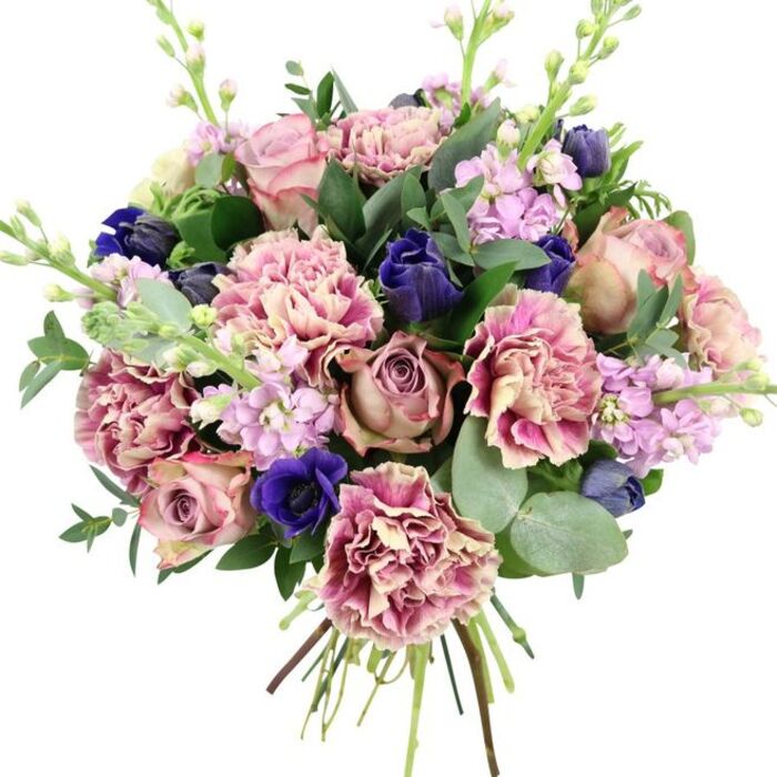 Set against a clean white background, this hand-tied bouquet appears almost sculptural, its colours and textures carefully balanced to create a luxurious, contemporary look. At the heart of the arrangement, generously petalled garden roses in dusty rose, blush pink, and muted mauve open in layered spirals, radiating classic romance. Around them, a profusion of ruffled carnations adds depth and softness, their petals moving from creamy beige and pale blush at the centre to richer rose and fuchsia tones at the fringed edges, like softly painted watercolour washes. Deep indigo and royal blue flowers, likely tulip-like buds and open anemones, bring a dramatic counterpoint, with one prominent blue anemone and its dark central eye anchoring the lower front of the bouquet. Threading upward through the design, pale lavender and lilac stock blossoms crowd along slender stems, offering light vertical lines and suggesting a gentle, sweet fragrance that recalls spring days on nearby Tufnell Park playing fields. All of this colour rests within a generous halo of foliage: rounded, silvery eucalyptus leaves mingle with darker, glossy greens, framing the blooms and adding both structure and freshness. The stems are carefully gathered and left visible, emphasising the hand-crafted nature of the piece and the immediacy of a fresh flower delivery. The palette of romantic pinks and mauves, balanced by serene purples, bold blues, and cool greens, gives the bouquet a versatile elegance, ideal for celebrating birthdays, anniversaries, or new beginnings in homes and cafes from Fortess Road to Junction Road, and showing the kind of thoughtful floristry you'd expect from a trusted Tufnell Park specialist.