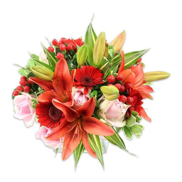 Set before a bright white backdrop that highlights every hue and curve, this dense, hand-tied bouquet reads as a study in warm, joyful contrasts and is the sort of arrangement we craft at Flowers Tufnell Park for customers around the neighbourhood. The visual anchor is a cluster of large, open Asiatic lilies in a vivid orange-red, their recurved petals spotted with darker flecks and their stamens adding architectural detail. Among them, vivid crimson Gerbera daisies contribute a cheerful, graphic energy, each with a darker center that grounds the palette. Soft, pale pink roses - from tight buds to fuller blooms - weave through the design, bringing a gentle, romantic softness that balances the lilies' intensity. Bright red hypericum berries are dotted through the bouquet like tiny ornaments, their glossy surfaces catching studio light and offering playful texture. A generous assortment of foliage - smooth broad leaves and lighter variegated greens - frames the flowers and gives the arrangement its full, rounded silhouette, while a few unopened lily buds hint at continued life and unfolding beauty. There is an implied scent here - faintly sweet, a touch spicy - and a tactile contrast between the lilies' papery petals, the roses' velvet layers and the berries' waxy gloss. Thoughtful and exuberant, this bouquet suits anniversaries, birthday celebrations or simply brightening a flat near the tube or local parks; it carries both the polish of professional floral design and the neighbourhood warmth familiar to those who stroll along Tufnell Park Road and Dartmouth Park Hill.
