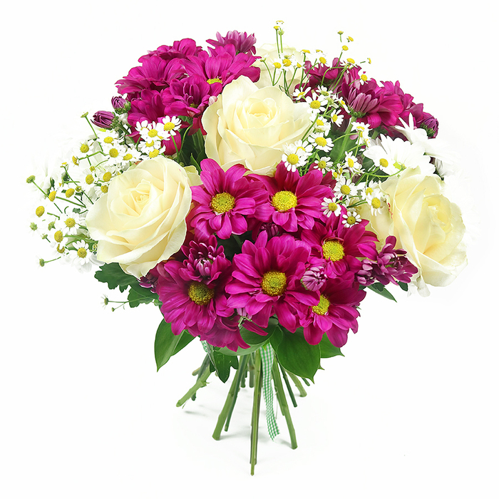 Captured against a pristine white background that makes every colour glow, this lush mixed bouquet looks like it has just been arranged on a workbench in a Tufnell Park studio and placed upright for viewing. At the centre, four fully opened roses in tones of creamy white through to gentle pale yellow form the refined heart of the design, their velvety petals arranged in perfect spirals that create a classic, almost vintage elegance. Around them, plentiful chrysanthemum blooms in saturated fuchsia and magenta are arranged in a rounded, harmonious shape, their daisy-like petals leading the eye inward to lively yellow-green centres that seem to shimmer under the light. Interlaced among these bolder colours are delicate sprays of small white filler flowers, likely feverfew or tiny chamomile-style daisies, each tiny disc of yellow ringed with narrow white petals, giving a light, airy texture and hinting at wildflower borders you might see near Tufnell Park's green spaces. A few unopened or partially opened chrysanthemum buds in deeper purple-pink create subtle shadows and extra dimension, suggesting the bouquet will continue to evolve over the next day or two in someone's home. Rich green foliage, from the glossy, serrated rose leaves to the softer chrysanthemum greens, weaves through and around the blooms, offering contrast and framing without heavy bulk. The stems are neatly gathered into a compact bunch and wrapped at the base with a green and white gingham ribbon, the check pattern evoking a homely, handcrafted feel that speaks of a caring local florist. Uniform, bright lighting washes over the bouquet, producing gentle shadows that emphasise the layered textures and fresh vitality of each flower, making this arrangement ideal as a photographed example of a cheerful, premium gift bouquet ready for delivery across Tufnell Park and nearby streets.