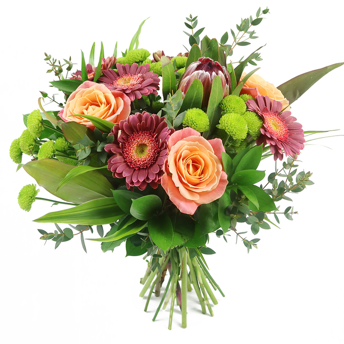 A beautifully composed, hand-tied bouquet is shown against a pure white backdrop, every bloom clearly defined as if it has just been lifted from the florist's bench in Tufnell Park. The arrangement centres on several large roses in warm tones of peach, coral, and salmon pink, their petals layered in soft spirals that transition from lighter, almost creamy edges to more saturated orange and pink depths at the core. Between these romantic focal flowers, Gerbera daisies in deep fuchsia and burgundy introduce a richer, more dramatic note; their slender ray-like petals frame lighter, textured disks that provide a dynamic contrast in both colour and form. A standout feature, placed slightly above and toward the side, is a striking King Protea whose bold, architectural head recalls an artichoke, with sturdy bracts shaded in maroon and reddish-brown, each tip touched with a whisper of blush pink. Threaded throughout are clusters of lime-green Santini chrysanthemums, their compact, button-shaped blooms offering bright, zesty highlights and a fun, pom-pom texture that lifts the entire palette. Embracing these flowers is a generous collar of greenery: broad, glossy leaves establishing a solid base, linear, sword-like foliage lending height and structure, and delicate sprigs of eucalyptus, their rounded, silvery-green leaves softening the outlines and hinting at a gentle, aromatic freshness. The stems are neatly gathered and tied, visible at the lower edge, showing the deliberate hand-tied style that customers often choose for deliveries to homes and small businesses around Tufnell Park, from tree-lined residential streets to cosy cafés. The composition feels full, balanced, and inviting, suited to occasions such as birthdays, anniversaries, thank-you messages, or simply sending a burst of colour and warmth to someone special in North London.