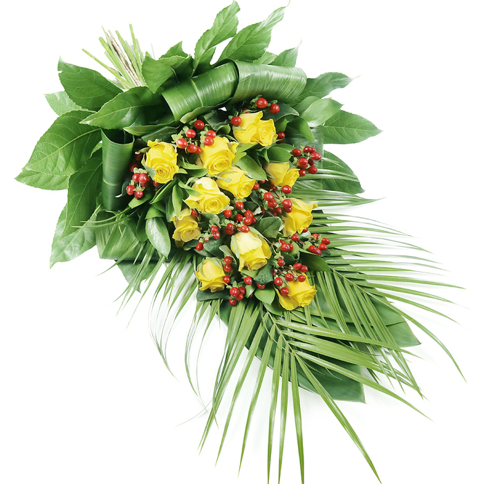 A sophisticated yellow rose funeral spray is displayed on a stark white background, its elongated shape designed to lie gracefully along a coffin or memorial table at a service in or around Tufnell Park. The arrangement sweeps gently from the top left to the lower right, forming a soft, tapering point that resembles a flowing leaf or a tear, evoking both movement and stillness. Approximately fifteen to twenty vibrant yellow roses are positioned throughout the spray, forming a loose, continuous line of colour. Some blooms are fully open, showcasing layered, velvety petals in a rich golden tone, while others remain in partially unfurled buds, suggesting tenderness and ongoing love. Interwoven with these roses are plentiful clusters of small, rounded red berries, likely Hypericum, standing like tiny lanterns of deep crimson amid the yellow. The berries add not only a striking colour contrast but also a pleasing, bead-like texture that catches the light in subtle highlights. Beneath and around the flowers, a generous spread of foliage anchors the design. Broad, dark green leaves are arranged at the upper left, some folded and wrapped back on themselves to create an almost sculptural, pleated effect that demonstrates the florist's skill. From the lower right, long, palm-like fronds extend outward, their narrow, pointed leaflets fanning in a gentle curve, lending the composition a slightly tropical, yet still dignified, character. The lighting is soft and even, emphasizing fresh green tones, the glow of the roses, and the glossy surface of the berries without distracting shadows. Crafted with care for local families, this spray would feel at home at a quiet service near Tufnell Park, Archway, or Holloway, offering a warm and respectful farewell.