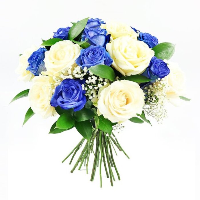 Set against a crisp white background, this hand-tied bouquet of blue and cream roses forms a perfect, rounded cluster, like a small, tranquil cloud of colour and texture. The florist's craftsmanship is clear in how evenly the blooms are distributed, with no gaps and no flower overpowering the others. Roughly half of the roses are painted in a rich sapphire blue, their petals velvety and dense, curling back slightly at the edges to reveal darker shadows closer to the heart of each bloom. Intermixed with these are equally abundant cream roses, some almost porcelain white, others shaded with a faint, buttery warmth, their layered petals opening gracefully as if in a quiet sigh. Between the roses, tiny stars of white baby's breath punctuate the arrangement, their feathery clusters softening the stronger colours and adding a sense of lightness, as though a gentle breeze from nearby Tufnell Park Fields has settled on the bouquet. Around the base of the blooms, a ring of glossy, dark green foliage cradles the roses, enhancing their colours while suggesting freshness and life. The green stems extend below the floral dome, neatly aligned and bound, hinting that the bouquet has just been finished and is ready for delivery to a home or chapel near Junction Road or Brecknock Road. Clear, diffused lighting washes over the arrangement, highlighting the subtle curves of each petal and the fine textures of the leaves without any harsh contrasts. The overall impression is of a thoughtful, respectful floral piece, suitable for expressing sympathy, remembrance, and quiet support during a time of loss.