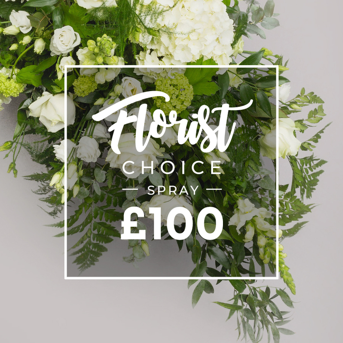 A lush, abundant spray of white blooms and vibrant greens dominates the frame, perched against a soft, light-grey backdrop. At the top, large white hydrangeas create a full, cloudlike texture, while classic white roses appear throughout in varying stages of bloom. Interwoven are smaller white blossoms resembling lisianthus, their delicate forms accented by subtle green tints. The greens-feathery ferns along the bottom and right, soft grey-green eucalyptus, and darker broad leaves-add depth and natural contrast, giving the arrangement a timeless, garden-fresh feel. In the center a thin white border frames bold white text: Florist Choice in a graceful script, SPRAY in uppercase sans-serif beneath, and a large ?100 at the bottom. The overlay's gentle transparency lets the foliage glow through, underscoring a premium, design-forward presentation. This Florist Choice Spray exudes refined elegance, suitable for memorials, elegant gifts, or tranquil home décor. It reflects expert floristry and local craft from Flowers Tufnell Park, ready for delivery across the locality to brighten days in Hampstead Heath, Kentish Town, and surrounding streets.
