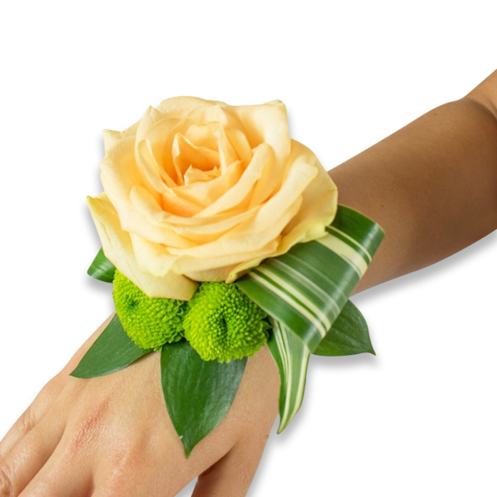 A beautifully composed wrist corsage rests along the inner forearm, photographed on a warm, light-to-medium brown skin tone against a bright white field so every botanical detail is visible. A single, large rose in a soft peach-to-champagne tone commands the centre - its petals layered and gently unfurling to form a luminous focal point that reads romantic and refined. Underneath, two vivid lime-green button chrysanthemums (pompom mums) provide a lively contrast, their compact, rounded heads and dense textures bringing playful energy to the arrangement. Surrounding these blooms are rich green leaves - broad, glossy foliage that likely includes salal or ruscus - arranged to cradle the flowers and give the corsage structure and depth. An architectural variegated leaf, striped with cream and darker green, is artfully folded and curled to sweep from beneath the rose toward the right, adding movement and a contemporary accent that frames the wrist. The fastening is discreet and not shown, suggesting an elastic band or ribbon hidden under the greenery so the design sits cleanly on the skin. The palette of soft peach, lime, and multiple greens feels celebratory and intimate at once - suited to weddings, proms, or special gatherings in and around Tufnell Park, from the station on Junction Road to quiet moments near Dartmouth Park. Crafted by local hands at Flowers Tufnell Park, this fresh wristlet exemplifies careful selection of materials, thoughtful balance between softness and structure, and a scent profile of gentle rose with a green undertone.
