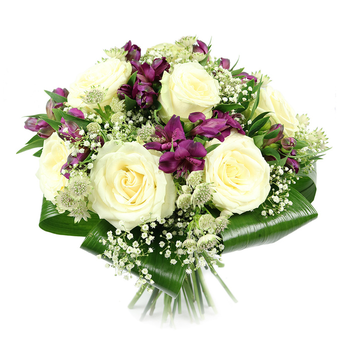 In this studio photograph, a luxurious hand-tied bouquet is presented against a bright white background, giving a clear, uncluttered view of every bloom and leaf. The overall shape is rounded and compact, with the eye immediately drawn to a generous cluster of creamy white roses at the centre. Each rose is at full bloom, petals layered in flawless spirals that create a soft, velvety texture and evoke feelings of purity and quiet romance. Weaving between these central roses are clusters of deep purple and magenta alstroemeria, their trumpet-shaped flowers adding rich colour contrast and a more contemporary flair. The alstroemeria show a mix of open flowers and slender buds, suggesting ongoing life and movement within the design. Fine sprays of white baby's breath are scattered throughout, giving a gauzy, cloud-like effect that lightens the palette and adds delicate, starry points of interest. Interspersed are subtle green-white astrantia blooms, their intricate pincushion centres and radiating bracts adding depth, texture and a hint of natural woodland charm. A neatly folded collar of glossy dark green aspidistra leaves wraps around the base, curving upwards to frame the bouquet and give it a clean, polished outline. The stems are visible below, tightly bound and evenly cut, reinforcing the hand-crafted nature of the piece. Soft, even lighting enhances the crisp tones and intricate details, making the bouquet appear freshly arranged, as if just completed in a Tufnell Park flower shop for same-day delivery to a townhouse off Fortess Road or a quiet café near Dartmouth Park. The overall impression is of understated elegance, perfect for anniversaries, thoughtful congratulations, or refined sympathy tributes.