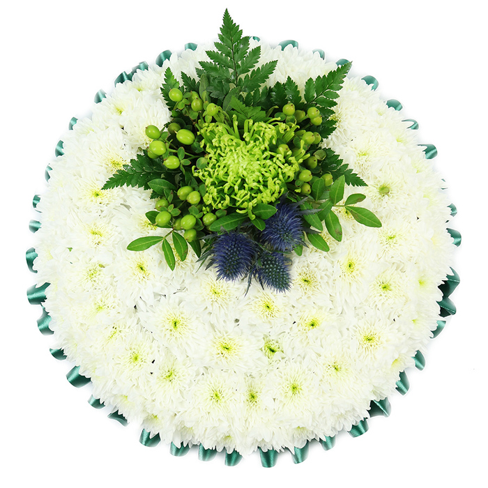 This overhead photograph captures a meticulously crafted round funeral cushion, its balanced design and subtle symbolism ideal for a thoughtful memorial service in Tufnell Park or along the quiet streets leading towards Holloway Road. The foundation is a perfectly circular bed of white spray chrysanthemums, placed so closely together that they create a smooth, velvety carpet of petals. Each bloom is fresh and open, revealing a tiny greenish heart that punctuates the whiteness with a whisper of colour, giving the arrangement depth without disturbing its calm, pure tone. Around the perimeter, a deep emerald satin ribbon has been carefully pleated by hand into regular folds, forming a ruffled edge that both frames and contains the flowers, almost like a fabric border around a treasured cushion. Towards the top, a central cluster of greenery provides a dynamic focal point. Here, a lime-green spider chrysanthemum unfurls its long, slender petals in all directions, its unusual shape and lively shade drawing the eye immediately. Surrounding it, clusters of rounded green Hypericum berries, compact green chrysanthemum heads, and layers of glossy leaves and feathery fern fronds create an interplay of textures, from smooth and shiny to soft and lacy. Nestled within this lush green centre, two distinctive Scottish thistles in a muted blue-violet tone rise proudly, their prickly, globe-shaped heads adding both architectural structure and a clear nod to Scottish identity or cherished personal connections. The overall impression is one of quiet strength and composed elegance, a tribute that feels at once traditional and slightly modern. It is the kind of design a skilled local florist would prepare for a funeral at a Tufnell Park church or crematorium, offering families a graceful, meaningful way to honour and remember someone dear.