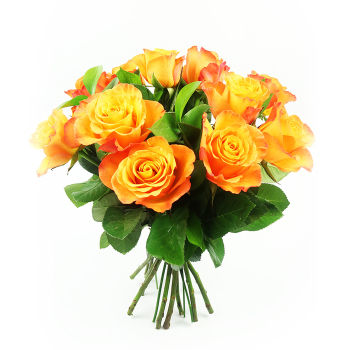 An abundant bouquet of bi-colour roses sits centre stage against a crisp, white background, its warm tones evoking the gentle glow of an evening sky over Tufnell Park. Around a dozen fully opened roses are clustered closely together, forming a generous, rounded arrangement that feels both luxurious and inviting. Each bloom reveals a heart of bright, sunny yellow at its core, the petals slowly transitioning outward into vivid orange, with occasional touches of soft red-orange near the tips. The petals overlap in delicate, velvety layers, some edges slightly curled, creating movement and texture that suggest the roses are at their peak of freshness. Deep, vibrant green leaves are woven throughout the bouquet, their firm, polished surfaces and clear midribs adding structure and contrast to the warmth of the blossoms. Beneath the floral canopy, a tidy bundle of dark green stems emerges, cleanly cut and aligned as if just tied off by a florist in a small shop near Tufnell Park station or along Fortess Road. The white background and bright, even lighting remove all visual distractions, allowing the saturated colours to stand out and drawing the eye to every subtle gradient and curve. The arrangement feels celebratory without being overly formal, the sort of bouquet that could be carried into a Victorian terrace on Dalmeny Road as a birthday surprise, or placed on a kitchen table as a cheerful thinking of you gesture. It speaks of warmth, affection, and optimism, a visual expression of gratitude or love rendered in vivid yellow and orange petals.