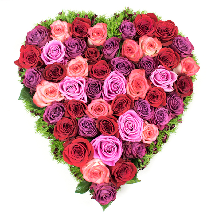 Viewed directly from above, this heart-shaped floral composition reads as an abundant, textural carpet of roses, each head placed in deliberate proximity to create an uninterrupted field of petals. The dominant tones are intense: deep crimson and rich burgundy form the core, accented by true scarlets that give the heart a bright, beating centre. Interspersed are a spectrum of pinks - from the palest blush and soft coral to vivid fuchsia and bold magenta - which ripple across the surface like brushstrokes. Complementary purples, from airy lavender and gentle mauve to sumptuous plum, weave through the design and lend a quietly luxurious shadowed depth to the arrangement. Every rose is at its bloom's prime, petals soft and velvety with tightly layered centres that invite touch and release a gentle, classic rose perfume. The edge of the heart is crisply defined by a thin band of fine, dark green foliage or moss-like material that peeks between roses and frames the silhouette, offering a fresh, natural contrast to the warm colours. The lighting is neutral and soft, chosen to reveal colour subtleties and the tactile richness of each petal rather than to create dramatic shadows. This piece reads as a statement of devoted emotion - perfect for romantic occasions, anniversaries, Mother's Day, or as a measured and comforting memorial offering - and will feel at home on mantelpieces or service tables across Tufnell Park and nearby streets such as Tufnell Park Road and Junction Road.