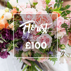 Held like a treasured letter, this Florist Choice bouquet is presented in a soft, elevated close-up with a clean white frame over the blooms that reads Florist Choice in flowing script, CHOICE in smaller caps below, and ?100 in strong numerals at the base of the overlay. The floral mix is intentionally lavish: full, blush-to-pale-pink garden roses dominate with their densely layered, velveteen petals, while rich plum hellebore-like flowers weave shadow and depth into the composition. Delicate striped sweet peas in pale purple and white spill through the bouquet, their ruffled edges adding a whisper of movement, and peach to coral ranunculus contribute warm, onion-layered textures. Creamy white fillers and abundant greenery - from trailing vines to broader, matte leaves - give the arrangement a relaxed, garden-picked silhouette that feels both refined and natural. Two hands cradle the stems gently at the bottom, the holder's pale sleeve and softly blurred clothing implying a personal delivery or the careful touch of a local craftsman. As a florist working and delivering across Tufnell Park, Kentish Town and nearby Dartmouth Park, I picture this bouquet arriving on a front door or gracing a simple wooden table, the scent of roses and eucalyptus lifting in cool London air. This image speaks of considered selection, seasonal freshness and the kind of bespoke presentation Flowers Tufnell Park prepares for special birthdays, anniversaries or intimate celebrations - a quietly luxurious, florist-chosen option priced and pictured for easy choice.