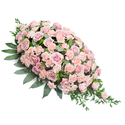 A refined sympathy spray in soft pink tones stretches diagonally across a white background, composed in the timeless teardrop style often chosen for casket tributes in Tufnell Park. The arrangement begins with a lush, rounded cluster of blooms at the upper left, then tapers delicately to a pointed tip at the lower right, creating a sense of movement that feels like a quiet blessing laid gently in place. The main flowers are numerous blush and light peach-pink roses, some fully open with layered, velvety petals, others still forming cups of promise, suggesting both a life lived and the memories that continue. Between them, pale pink carnations with finely ruffled edges fill every space, adding softness and a slightly frilled texture that contrasts beautifully with the smooth rose petals. The pastel flowers sit on a bed of rich, dark green foliage: broad, glossy leaves provide a solid, supportive base, while slimmer, graceful stems and feathery greenery extend beyond the blooms, particularly along the lower edge, echoing the shape of a falling petal or a flowing ribbon. The colour palette is calm and understated, with blush, dusty rose, and muted peach tones harmonising against the deep greens and the stark white backdrop. Subtle, even lighting highlights each petal and leaf without glare, conveying a sense of stillness and respect. This floral spray would feel at home in a quiet chapel near Tufnell Park or at a small family service after a walk through nearby streets, offering a message of consolation, support, and loving remembrance that feels both personal and dignified.