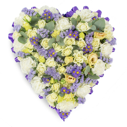 Presented in a studio-style photograph on a clean white field, this heart-shaped memorial arrangement is edged with a neat, continuous purple satin ribbon that frames the composition like a velvet-bound page. Inside, cream and pale yellow roses sit close together, their soft, layered petals creating a luxurious, reassuring texture, while abundant white carnations fill the spaces between with classic fullness. Flecks of lavender statice move through the heart with an airy, papery texture, and vivid purple aster-like blooms with sunny yellow centres provide lively accents that lift the palette without breaking the arrangement's contemplative mood. Blue-green eucalyptus leaves are tucked throughout, their rounded form and subtle silvery bloom adding restful punctuation and implying a faint, cleansing scent. The overall light is gentle and diffused, chosen to highlight the subtle tonal shifts from cream to lavender without distracting shadows. As someone who arranges tributes daily from our Tufnell Park workshop, I see this design offered for memorials at nearby churches or small wakes around Junction Road or as a dignified graveside piece for ceremonies near Hampstead Heath. The arrangement's combination of soft pastels, richer purple edges, and considered texture conveys sympathy, respect, and a quiet, enduring affection-an appropriate floral language when words are few. Crafted with care by local hands, it reads as a solemn but tender emblem of remembrance.