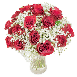 A sumptuous, domed bouquet of about eighteen to twenty luxuriant red roses embraced by an abundance of cloud-like white baby's breath (Gypsophila paniculata), presented in a clear glass vase and captured on a pristine white surface. Each rose is chosen for its deep, velvety crimson and fully unfurled petals, creating a layered, tactile surface that seems almost velvet to the eye; the gypsophila drifts between the heads like soft fog, its tiny blossoms acting as a delicate lace that both frames and uplifts the roses. Through the transparent vase the long green stems are visible-straight, fresh, and crisply cut-adding cool vertical lines that contrast the rounded floral dome. The lighting is bright and even, making each petal glow while casting gentle shadows that emphasize the bouquet's depth. There is a quiet fragrance hinted at in the image: classic rose perfume tempered by the airy sweetness of gypsophila, an aroma suited to romance, heartfelt apologies, and milestone celebrations. As a local touch, this arrangement recalls the calm charm of Tufnell Park Road and the nearby green of Dartmouth Park, a design meant to feel both intimate and celebratory. Flowers Tufnell Park prepares similar bouquets for same-day local delivery across Tufnell Park and adjacent neighbourhoods, always aiming for freshness and a composed, elegant presentation that comforts and delights.