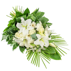 A sophisticated sympathy spray in white and green stretches diagonally across a clean white backdrop, its shape reminiscent of a soft, flowing leaf resting in still air. Dominating the centre are generous white Oriental lilies, some fully open with curving petals that arch back to reveal pale, pollen-dusted stamens, others still in elongated buds suggesting life continuing beyond the moment. Around these stately blooms cluster cream and soft white roses, from tight buds to gracefully opening flowers with layered, spiralled petals, joined by ruffled white carnations and simple daisy-like Gerberas with neat, rounded centres. Fine sprays of dainty white fillers drift between the main flowers, light as breath, giving the eye gentle pauses of texture. The arrangement is anchored by an abundance of foliage: broad, dark green leaves, perhaps laurel or salal, form a solid base; airy fern fronds weave in and out, and the muted green-blue discs of eucalyptus lend a subtle, soothing tone. At the top, slender green blades are looped and bound into an architectural accent, adding height and elegance without disrupting the calm. From the lower right corner, a striking fan of long, narrow palm fronds sweeps outward, giving the spray an elongated, asymmetric profile that feels both contemporary and timeless. The mood is serene and reflective, suitable as a funeral tribute or memorial arrangement for families in Tufnell Park saying farewell at a service near Dartmouth Park or along Fortess Road, created with the kind of quiet care local florists bring to each farewell bouquet.