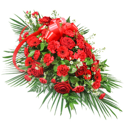 A luxurious red funeral spray stretches diagonally across a clean white backdrop, its shape narrowing elegantly towards one end so that it resembles a graceful teardrop or crescent of flowers. In the centre, a dense cluster of deep red roses forms the emotional core of the design: some blooms are tightly furled, others open wide to reveal layers of velvety petals, catching soft highlights along their curved edges. Woven between them are rich red carnations, their frilled petals adding volume and softness, while red gerbera daisies, with their flat, round faces and pronounced dark eyes, punctuate the arrangement with a contemporary, graphic look. Tiny white blossoms-reminiscent of baby's breath or delicate spray chrysanthemums-are gently threaded throughout, creating little flashes of brightness that lift the intensity of the red. A broad, satin red ribbon is tied into a generous bow near the top, its shiny loops and trailing tails nestled among the blooms, as if embracing the flowers in a final, loving gesture. Around the outside, sweeping palm leaves and fine fern fronds extend outward, framed by denser, darker greenery that gives a lush, full base and a slightly tropical character. The overall composition feels dignified yet passionate, ideal as a casket spray or central tribute at a memorial in the Tufnell Park area, perhaps travelling from a family home near Fortess Road to a farewell service. The careful balance of colour, texture, and shape reflects the work of an experienced North London florist, creating a meaningful arrangement that speaks quietly of respect, remembrance, and enduring affection.