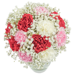 In the heart of Tufnell Park, this bouquet captures the local spirit with an abundant gathering of richly layered carnations in crimson red, pastel pink, and velvety white, each bloom generously flecked with soft, cloud-like gypsophila. Arranged by Flowers Tufnell Park's skilled florists, these ruffled petals unfold gently, their creamy opalescence brightened further by the constellation of delicate baby's breath throughout the bouquet. The design is crafted to feel inviting, every carnation nestled snugly around the next, creating a spherical form that exudes fullness and celebration. The clear round vase gives a glimpse of the submerged green stems, adding a fresh, grounded touch, as though the flowers were just gathered from a nearby Tufnell Park garden. Bright, even lighting in the image showcases every waxy petal and frosted white detail, conjuring the ambiance of a sunlit morning along Tufnell Park Road. This arrangement is naturally suited for those heartfelt thank-yous, milestone birthdays, or just-because gestures so meaningful in close communities. It brings a note of understated luxury and brings genuine warmth to any setting, whether it stands on a local kitchen counter or arrives as a surprise delivery to a favourite neighbour's doorstep.