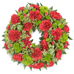 A round funeral wreath dominated by luxurious red and fresh lime green tones is shown against a bright white backdrop, making every petal, leaf, and ribbon loop clearly visible, as if you were standing in a Tufnell Park studio watching your florist at work. The ring is densely composed of red carnations, their ruffled petals overlapping in soft waves, creating a plush, almost cushion-like circle of colour. Some carnations are wide and fully open, showing intricate layers within the bloom, while others are more compact, giving the design a sense of gentle movement, like a heartbeat around the wreath. In between these crimson flowers sit clusters of lime green button chrysanthemums, perfectly round and tightly textured, their small, bead-like petals catching the light. This bright chartreuse green adds a fresh, almost youthful spark, balancing the formality of the red and preventing the tribute from feeling heavy. The blooms are held together by a rich halo of foliage: dark green fern fronds add depth and a feathery softness, while sprigs of variegated pittosporum bring in creamy white edges and dapples of lighter green, echoing the patchwork greenery seen in Tufnell Park's gardens and on nearby tree-lined streets. Threaded subtly through the flowers is a soft green ribbon, patterned with slightly darker diagonal stripes, bent into loose, graceful loops that echo the circle of the wreath without dominating it. The overall composition feels both traditional and full of life, ideal for a funeral or memorial service in or around Tufnell Park, whether placed by the coffin in a local church or laid as a graveside tribute. It conveys heartfelt condolence, quiet strength, and a tender farewell shaped by experienced, local hands.