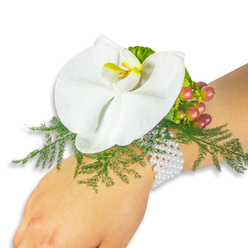 This wrist corsage reads like a small poem in white and green: a single pristine Phalaenopsis orchid anchors the design, its broad, creamy-white petals unfolding with a smooth, velvet sheen and a bright yellow-and-orange throat that acts as a quiet punctuation mark. Surrounding the orchid, airy sprigs of asparagus fern form a fine, lace-like halo, their needle-soft fronds lending motion and depth as they feather outward. Nestled among that green bed is a little cluster of Hypericum berries, each bead showing a subtle colour shift from pale green through warm pink to rich crimson, like the changing light over a late summer market stall. A small piece of ruffled lime-green foliage tucks in near the berries, providing a contrasting texture and a modern, lively edge. The corsage fastens with a delicate multi-strand pearl bracelet; the tiny white pearls reflect light gently against fair skin, giving the piece a sense of tradition and gentle luxury without upstaging the flowers themselves. The arrangement feels intimate and considered-scent-soft, visually calm, and tactilely varied-perfect for a prom, wedding, or a thoughtful gift. I imagine delivering this to a bride preparing in a Tufnell Park flat or to a couple stepping out along Junction Road, where local florists select stems with care. The overall mood is serene and hopeful, a small wearable bouquet that balances classic formality and neighbourhood sensibility with the kind of hand-finished detail a resident of our area would notice and cherish.