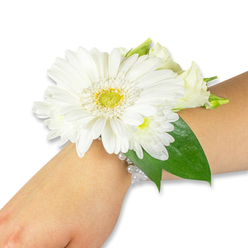 A carefully composed white floral wrist corsage, pictured on a light-toned forearm against a simple white backdrop, showcases a large pristine Gerbera daisy as its striking focal point. The Gerbera's many velvety white petals radiate outward from a vivid yellow-green centre, its texture offering a soft visual anchor. Nestled into the Gerbera's embrace are clusters of smaller white chrysanthemum-like blooms and a few creamy lisianthus buds, building a layered, cloud-soft silhouette that breathes softly above the skin. Rich, deep green ruscus or salal leaves fan behind the flowers, their glossy surfaces reflecting a touch of studio light and grounding the composition with natural depth. The arrangement is secured on the wrist with a delicate band of luminous white pearl beads, strands that circle the arm with understated refinement and a faint reflective sheen. Close inspection suggests the gentle scent of green stems and the cool, almost herbal note of foliage beneath the sweeter floral top notes - an understated perfume that lingers without overwhelming. This elegant corsage is the kind of wearable bloom you might request for a wedding procession, prom night, or a special graduation stroll down Brecknock Road toward Tufnell Park station, and it reflects the careful handiwork of local florists. Flowers Tufnell Park designs pieces with this quiet, classic sensibility, mindful of texture, proportion, and the small comforts that make a formal moment feel intimate. The image's clean composition and soft light emphasize the freshness and meticulous placement of each blossom, inviting touch as much as sight.