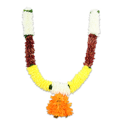 Seen against a clean white studio surface, this traditional U-shaped ceremonial garland - a toran or mala - is described with the attentive voice of a local Tufnell Park florist who often prepares seasonal décor for nearby streets and community halls. The garland begins at each short upright arm with a compact cluster of creamy-white florets, their soft texture like tiny chrysanthemums catching light in a way that reads almost silvery. Directly beneath these pale crowns, a narrow band of rich reddish-brown follows: textured, layered elements that suggest dried petals or mahogany-hued bud clusters, adding a warm, stabilising contrast. As the arms sweep down, the composition opens into a broad, dense band of bright golden-yellow, densely threaded to resemble vivacious marigold blooms (genda phool) prized for auspicious occasions. Intermittent bright green accents - leaf-like touches or thin ribbon separators - mark the joins and offer a cool counterpoint. Anchoring the whole, at the central low point, is a generous, ruffled pendant of vivid orange petals: rounded, multi-layered and full, drawing the eye as an emblem of celebration. The garland is artificial and built for longevity, its uniform stitching and tactile weight making it ideal for repeat use at puja altars, doorways during Diwali, Ganesh Chaturthi, weddings, or as a lasting welcome in homes by Dartmouth Park or near the Tufnell Park Tube. Prepared with the same care as bouquets at Flowers Tufnell Park, it can be described, hand-inspected and arranged for local delivery to Junction Road and surrounding areas.