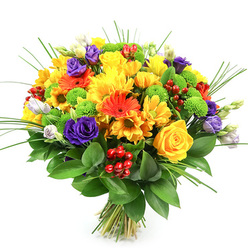 Presented against a clean white field, this round, exuberant bouquet reads like a pocket of summer-dense, layered, and expertly balanced. The heart of the arrangement is bright yellow: several tightly unfurled yellow roses, their centers spiralling inward, rest alongside generous sprays of yellow chrysanthemums and small daisy-shaped yellow blossoms that scatter light across the face of the design. Tangerine and deep-orange gerbera daisies provide bold focal points, their dramatic petals and darker centres contrasting with delicate orange button blooms. Deep purple lisianthus bring a refined, velvety depth, accompanied by softer lavender and white lisianthus buds that promise continued opening; these cooler tones anchor the warmer palette. Lime-green Santini pom-pom chrysanthemums punctuate the bouquet with playful, tactile spheres, while clusters of glossy red Hypericum berries add celebratory punctuation and textural shine. Slender, spiky blades of ornamental grass lend movement upward and outward, and a generous base of glossy dark green foliage-likely Ruscus-forms a sumptuous, verdant collar; the stems are neatly tied at the base, signaling a freshly prepared hand-tie. Imagining the scent, one senses a light green sweetness with a faint powdery rose note and the crispness of cut foliage. As a local florist in Tufnell Park, Flowers Tufnell Park often crafts this colour story for birthdays, housewarmings, and cheerful 'just because' deliveries to nearby streets around Fortess Road and the tube station, with freshness and seasonal blooms central to every bouquet.