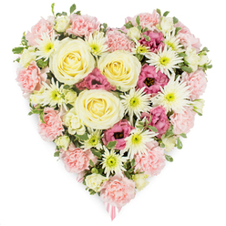 A luxurious, heart-shaped floral tribute fills the frame, set crisply against a white background so that every petal and curve is clearly visible, as if laid out in a peaceful chapel near Tufnell Park station. The heart itself is densely crafted from soft pastel blooms, with a main body of pale pink carnations packed closely together, their frilly petals forming a plush, almost cloud-like surface. Resting proudly among them are several large creamy yellow roses, each rosebud unfurling in perfect spirals, their buttery tones radiating warmth, comfort, and a sense of steady love. Here and there, white spider chrysanthemums rise from the surface, their many fine, needle-like petals bursting from fresh green centres, lending movement and airiness to the composition. Deeper magenta-pink lisianthus flowers are tucked between the roses and carnations, their gently flared, bell-shaped heads bringing a touch of depth and quiet drama, like a whispered farewell at a graveside gathering in nearby Holloway or Archway. Small sprigs of green foliage and tiny variegated leaves thread through the blossoms, adding natural freshness and helping the heart feel alive and breathing. At the pointed base of the heart, a glimpse of soft pink ribbon suggests this arrangement has been carefully prepared as a funeral or memorial tribute, perhaps to rest by a photograph or urn. The overall effect is one of tenderness, solace, and reverent remembrance, a floral heart that speaks when words fall short.